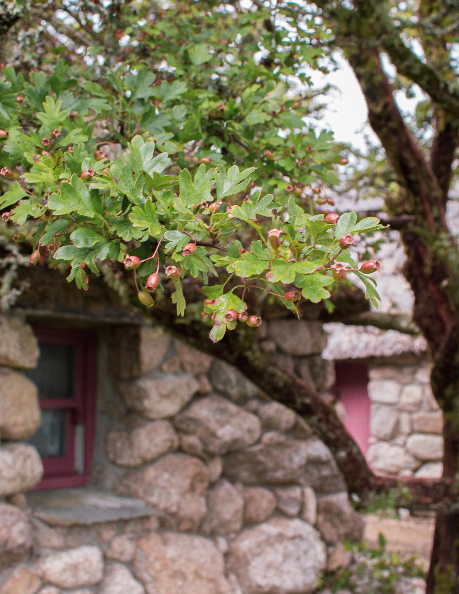 Ferienhaus Cnoc Suain Galway